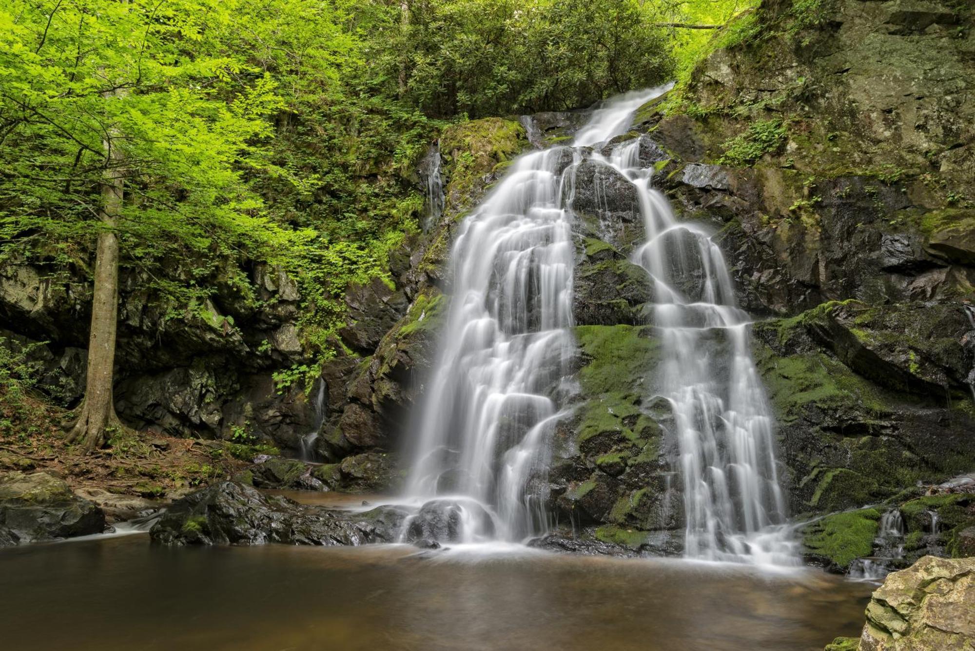 Вилла Smoky Mountain Gem Гатлинбург Экстерьер фото