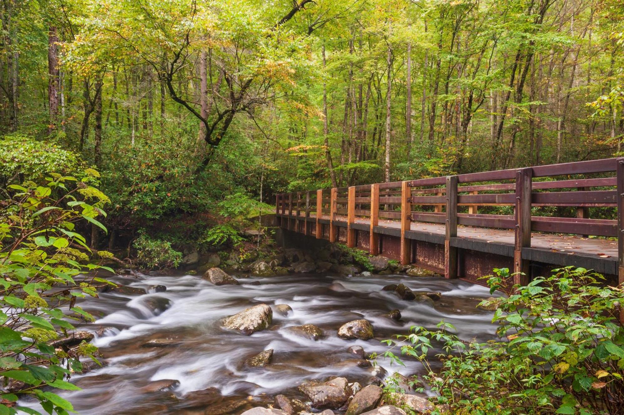 Вилла Smoky Mountain Gem Гатлинбург Экстерьер фото